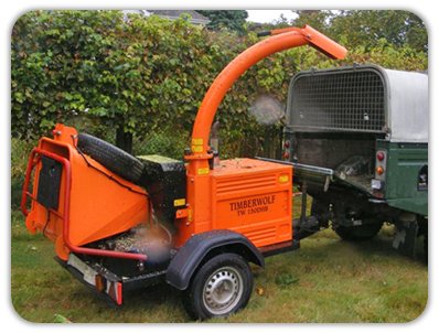 Woodchiper, reducing a felled beech tree